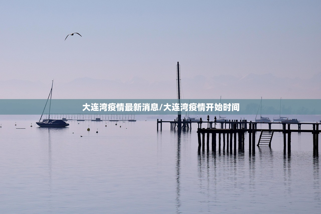 大连湾疫情最新消息/大连湾疫情开始时间