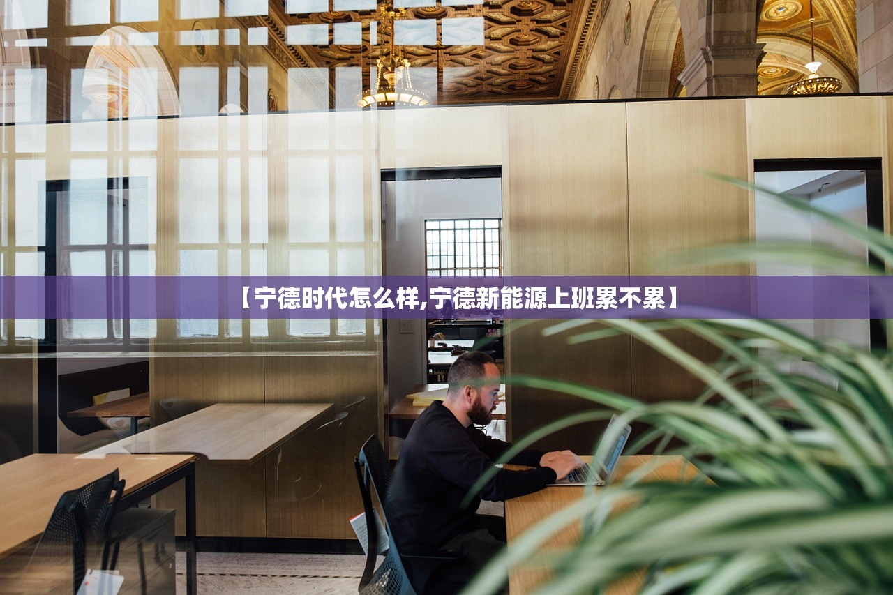 【宁德时代怎么样,宁德新能源上班累不累】