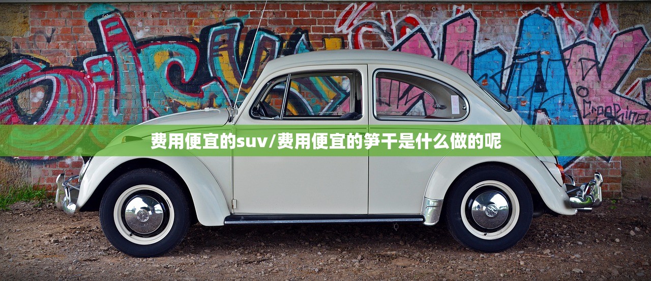 费用便宜的suv/费用便宜的笋干是什么做的呢