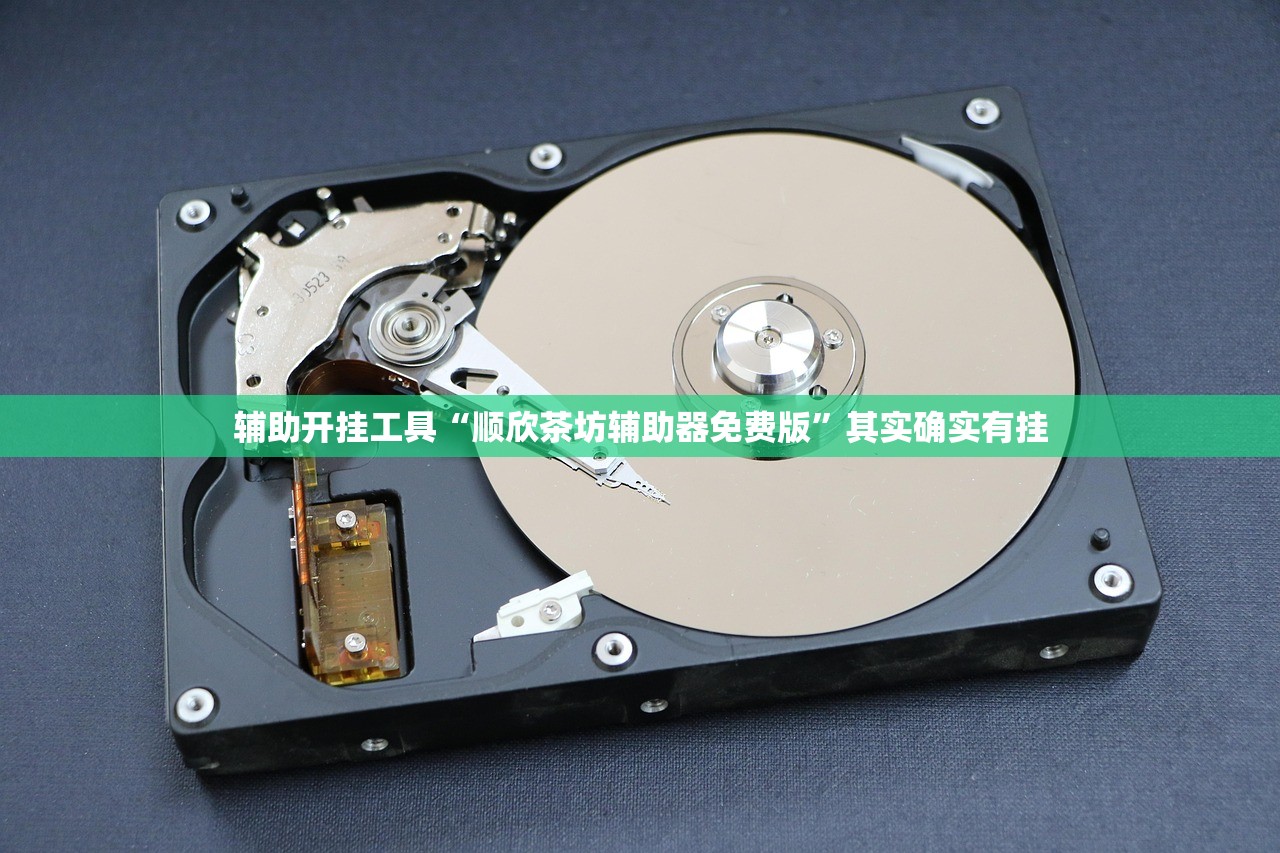 辅助开挂工具“顺欣茶坊辅助器免费版	”其实确实有挂