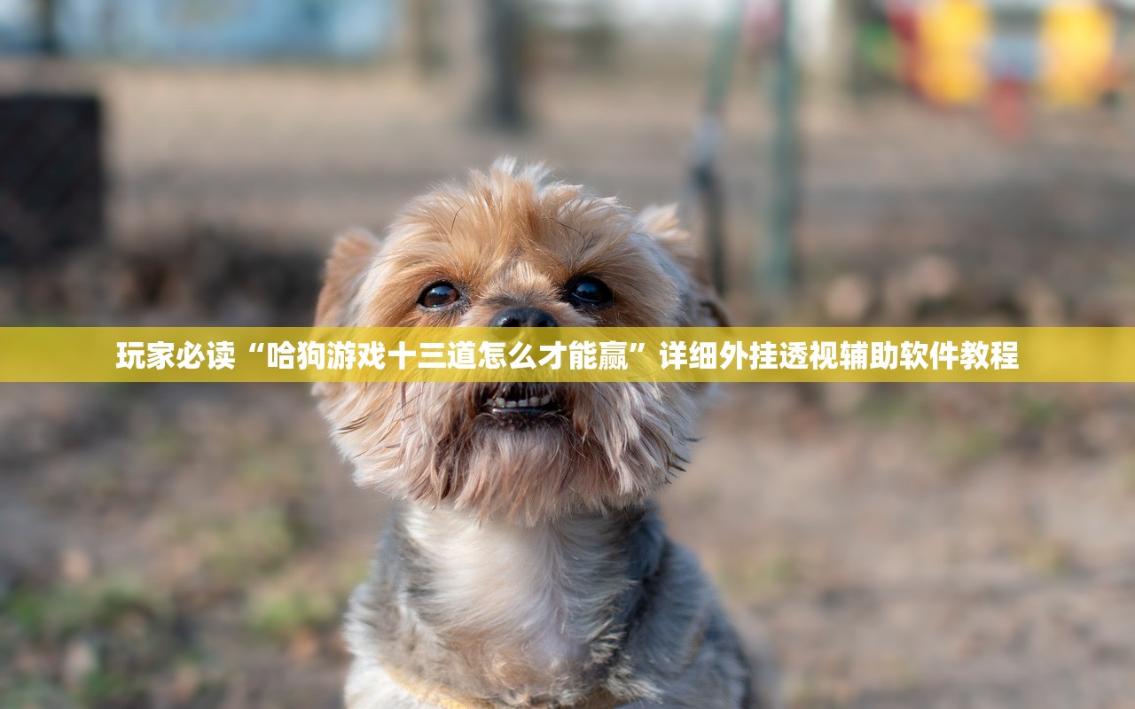 辅助开挂工具“微乐龙江麻将万能开挂器免费”开挂(透视)辅助教程