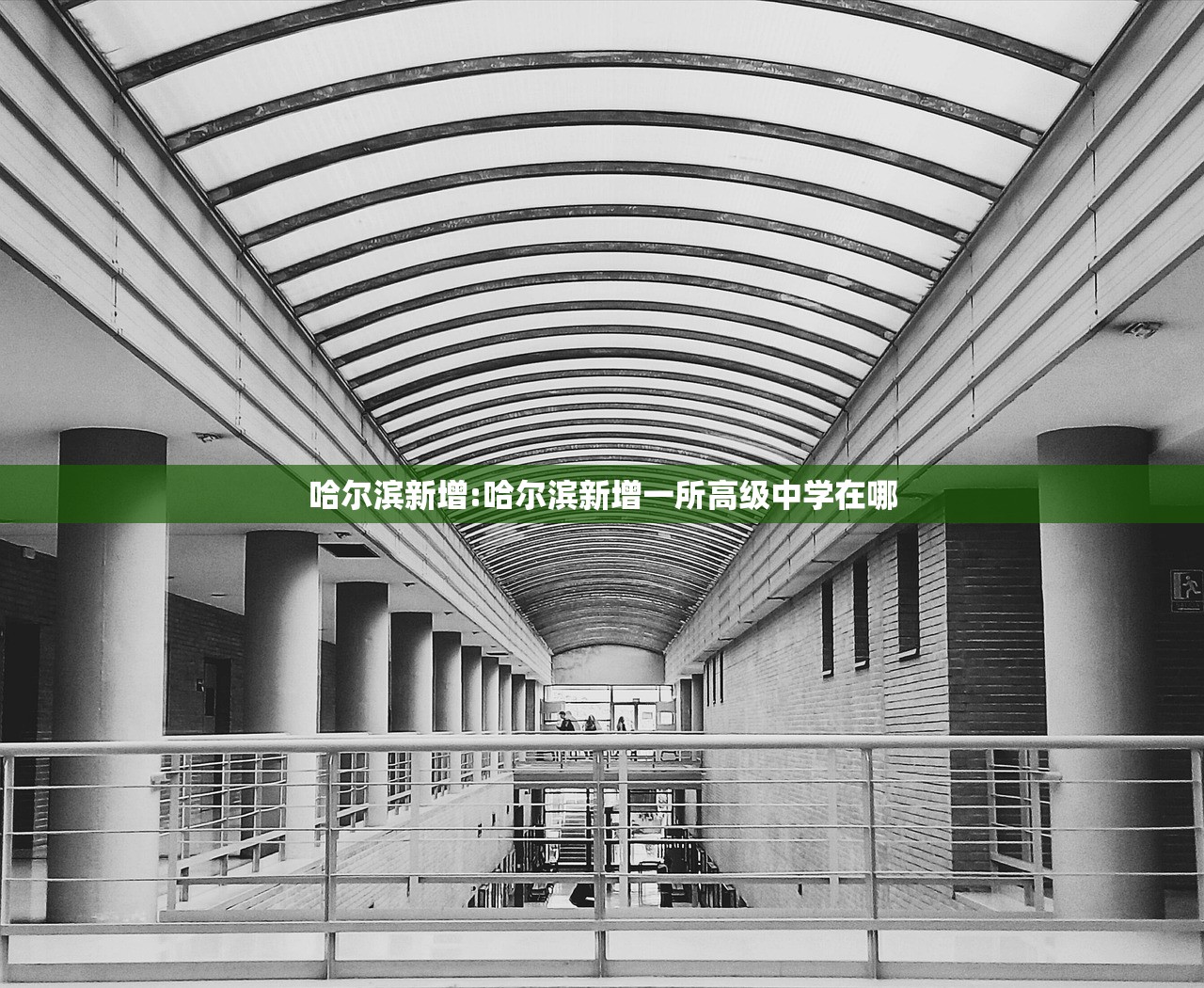 哈尔滨新增:哈尔滨新增一所高级中学在哪