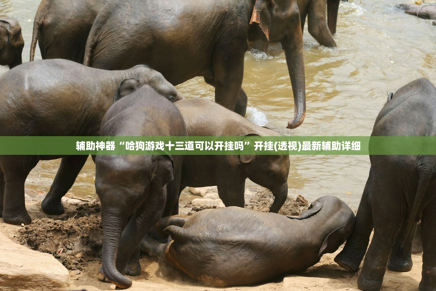 辅助神器“哈狗游戏十三道可以开挂吗	”开挂(透视)最新辅助详细