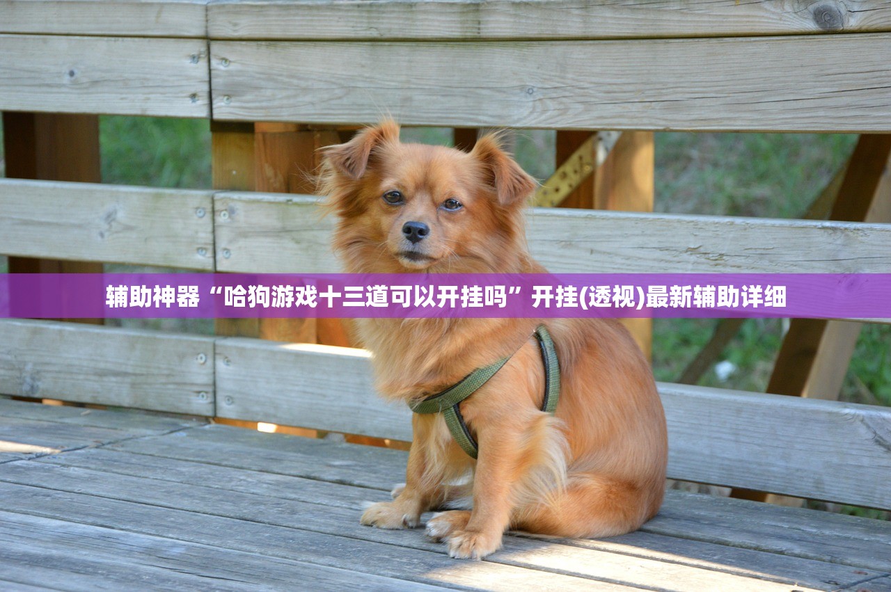 辅助神器“哈狗游戏十三道可以开挂吗	”开挂(透视)最新辅助详细