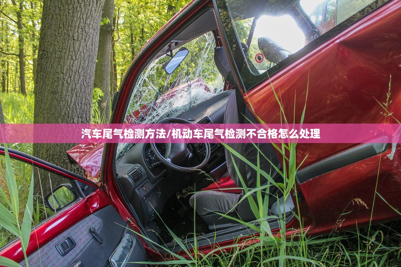 汽车尾气检测方法/机动车尾气检测不合格怎么处理
