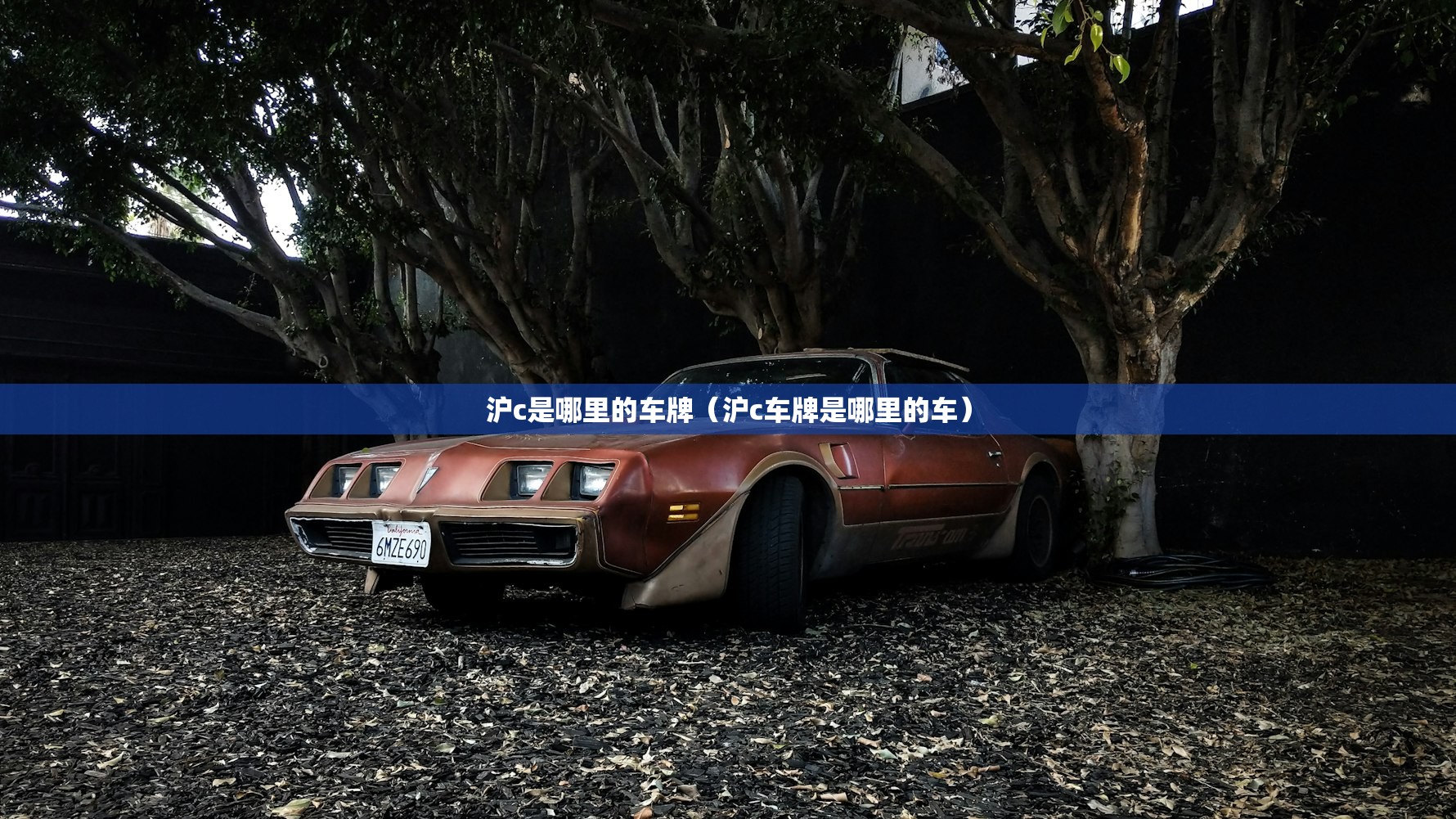 沪c是哪里的车牌（沪c车牌是哪里的车）