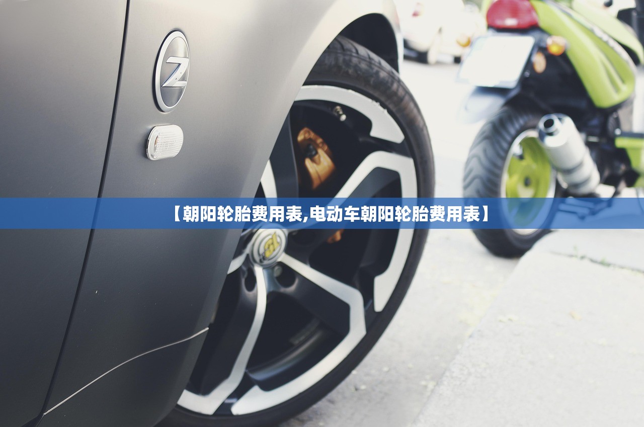 【朝阳轮胎费用表,电动车朝阳轮胎费用表】