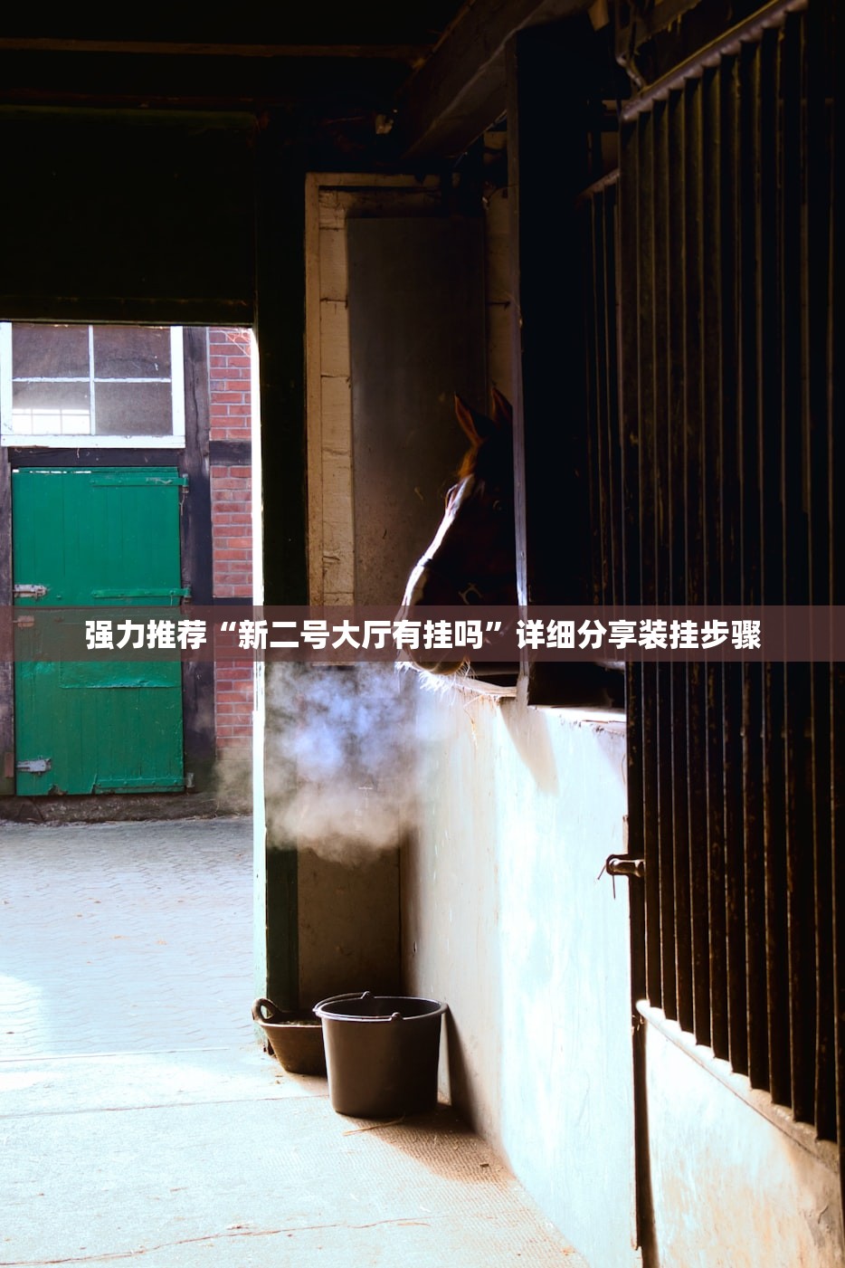 强力推荐“新二号大厅有挂吗	”详细分享装挂步骤