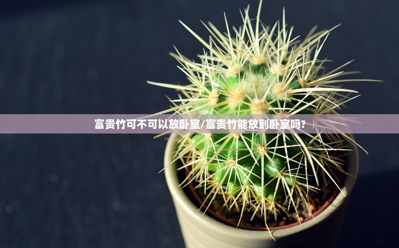 富贵竹可不可以放卧室/富贵竹能放到卧室吗?
