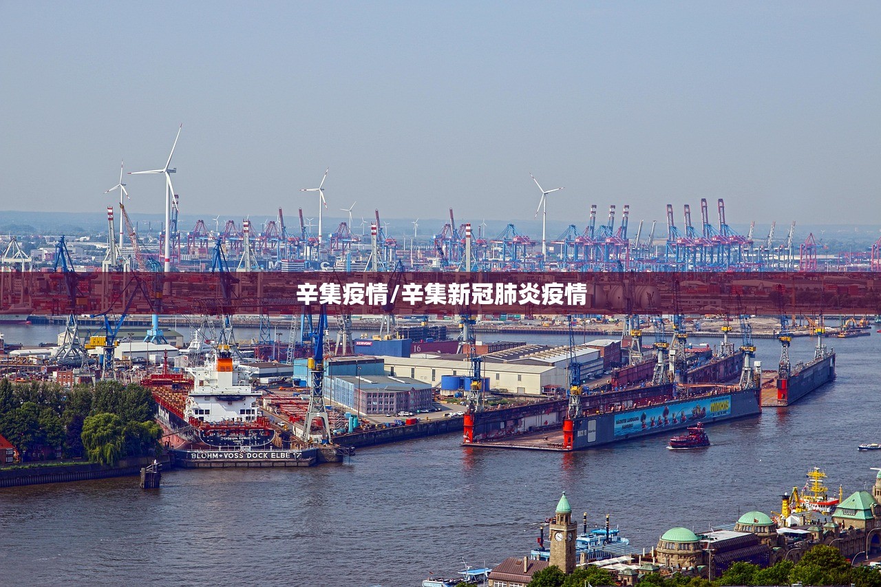 辛集疫情/辛集新冠肺炎疫情