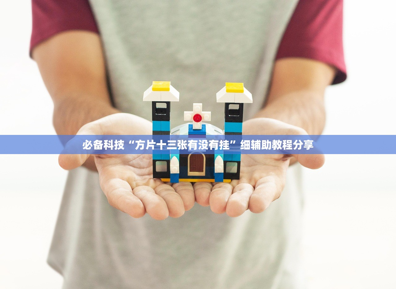 必备科技“方片十三张有没有挂”细辅助教程分享