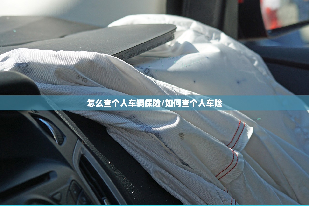 怎么查个人车辆保险/如何查个人车险