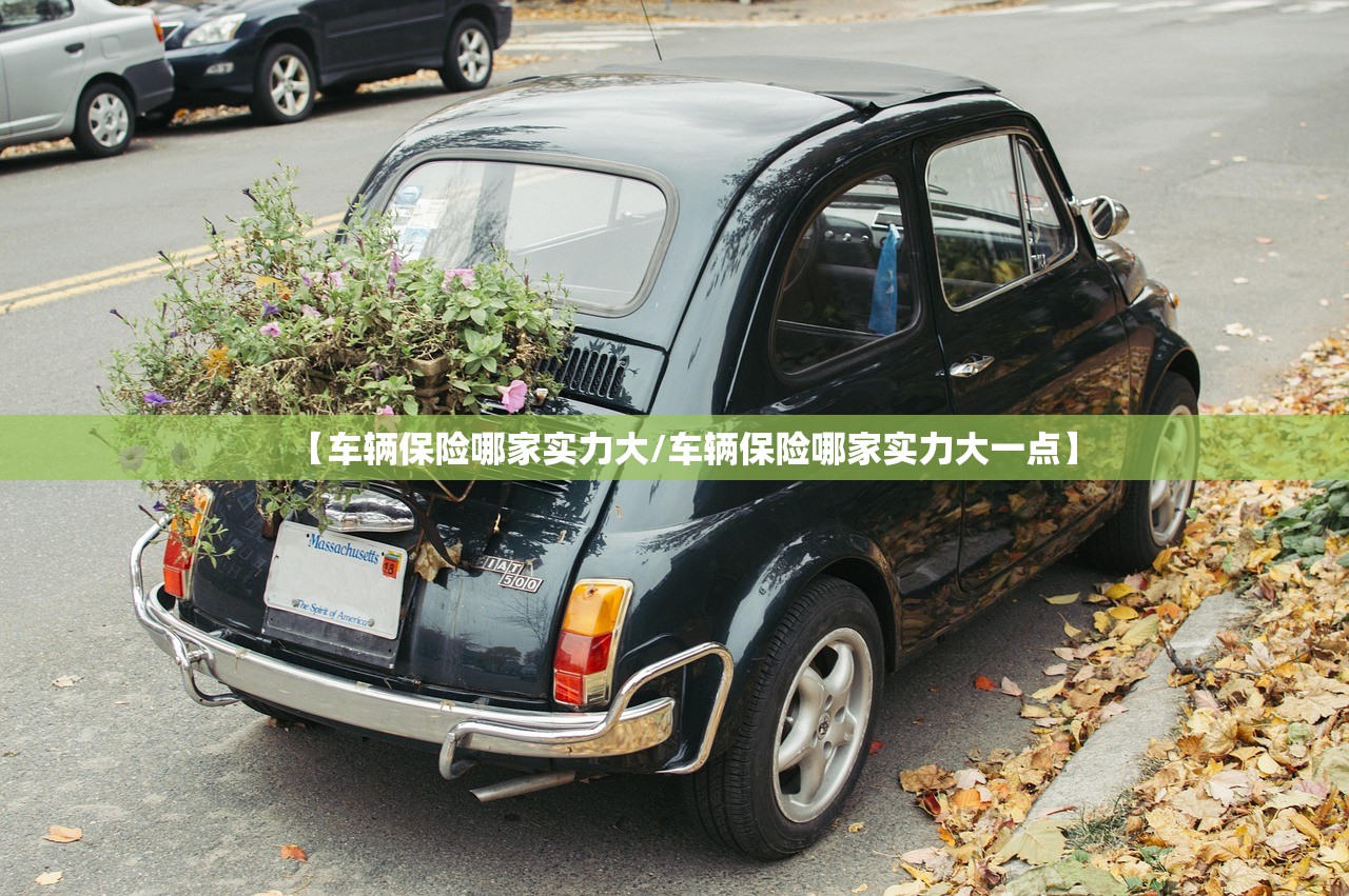 【车辆保险哪家实力大/车辆保险哪家实力大一点】