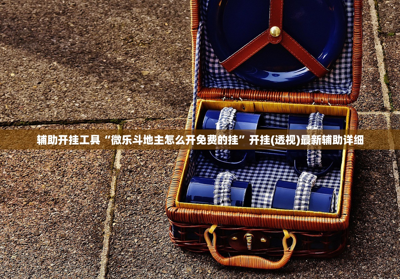 辅助开挂工具“微乐斗地主怎么开免费的挂”开挂(透视)最新辅助详细