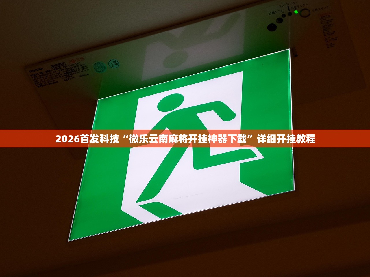 辅助神器“金州水鱼天下作弊教程”细辅助教程分享