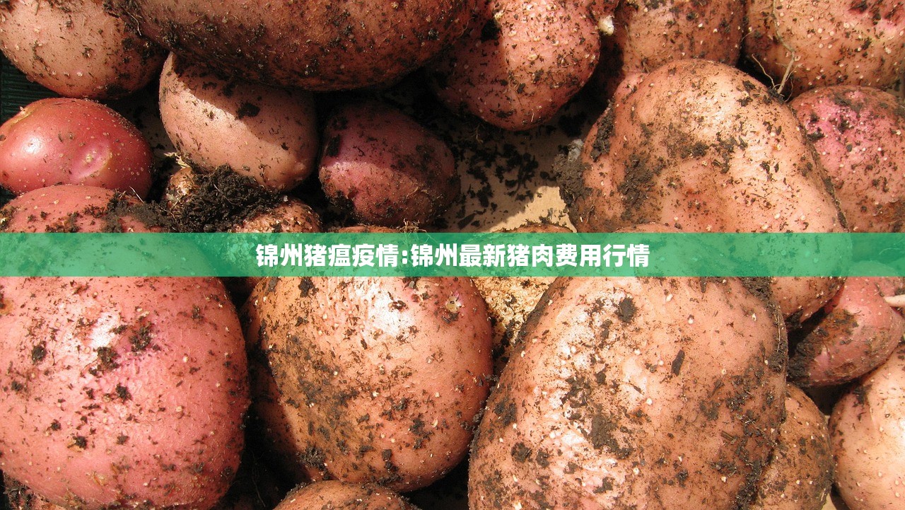 锦州猪瘟疫情:锦州最新猪肉费用行情