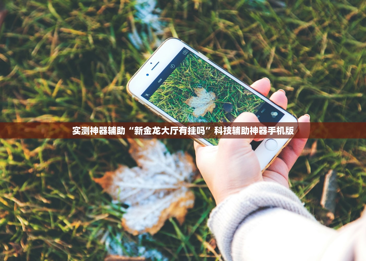 实测神器辅助“新金龙大厅有挂吗	”科技辅助神器手机版