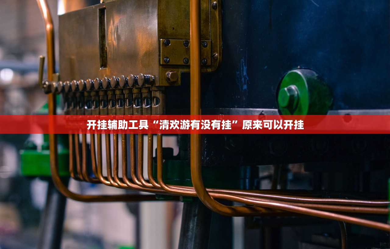 开挂辅助工具“清欢游有没有挂”原来可以开挂