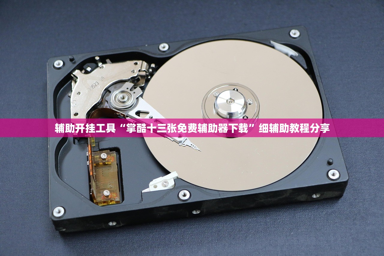 辅助开挂工具“掌酷十三张免费辅助器下载	”细辅助教程分享