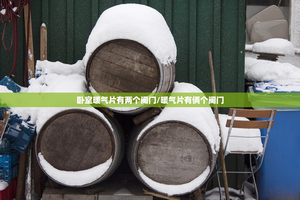 卧室暖气片有两个阀门/暖气片有俩个阀门