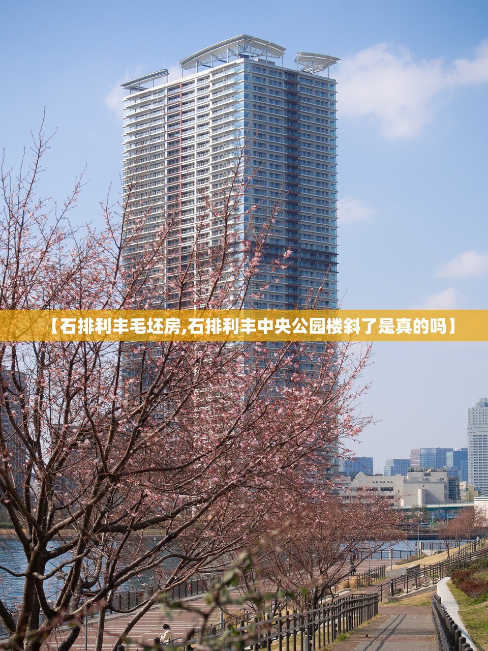 【石排利丰毛坯房,石排利丰中央公园楼斜了是真的吗】