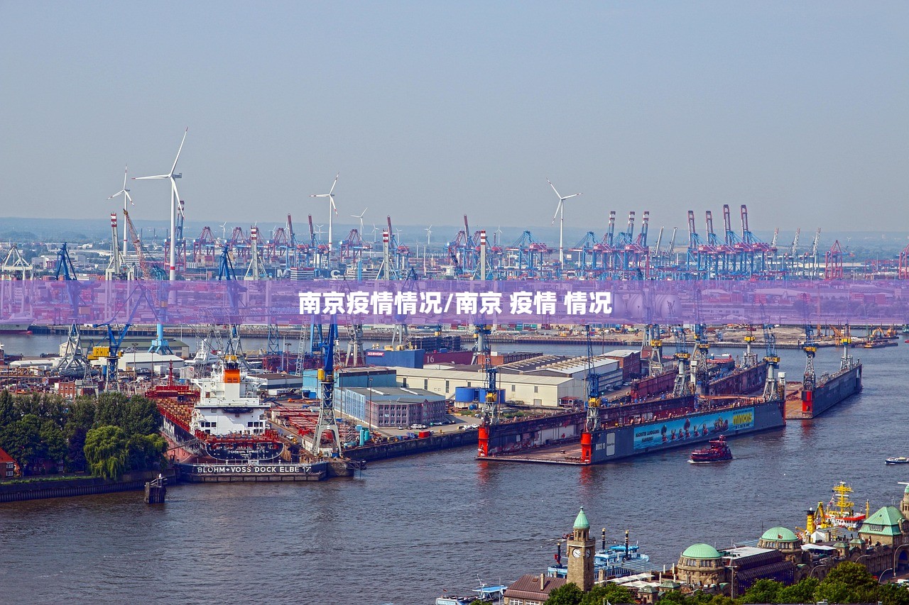 南京疫情情况/南京 疫情 情况