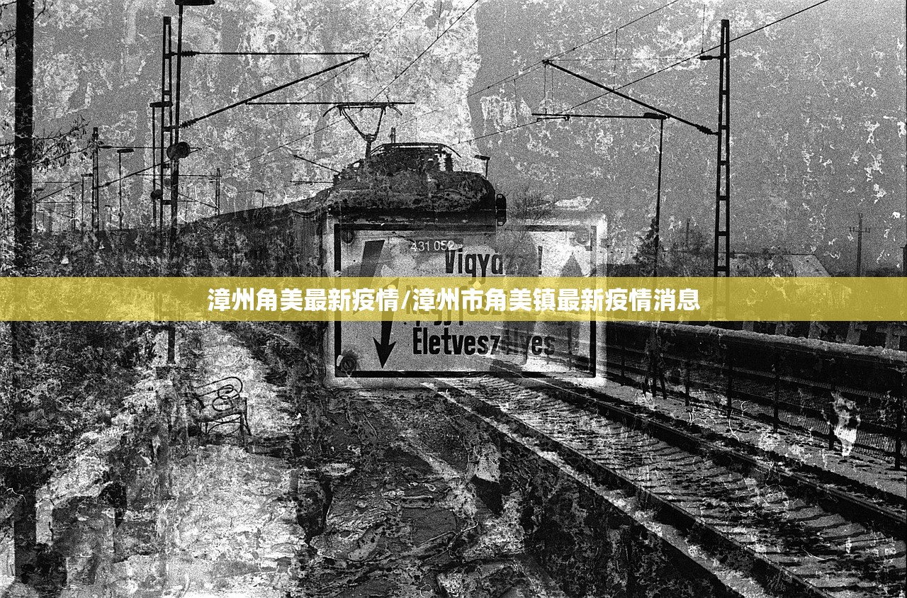 漳州角美最新疫情/漳州市角美镇最新疫情消息 漳州角美最新疫情/漳州市角美镇最新疫情消息