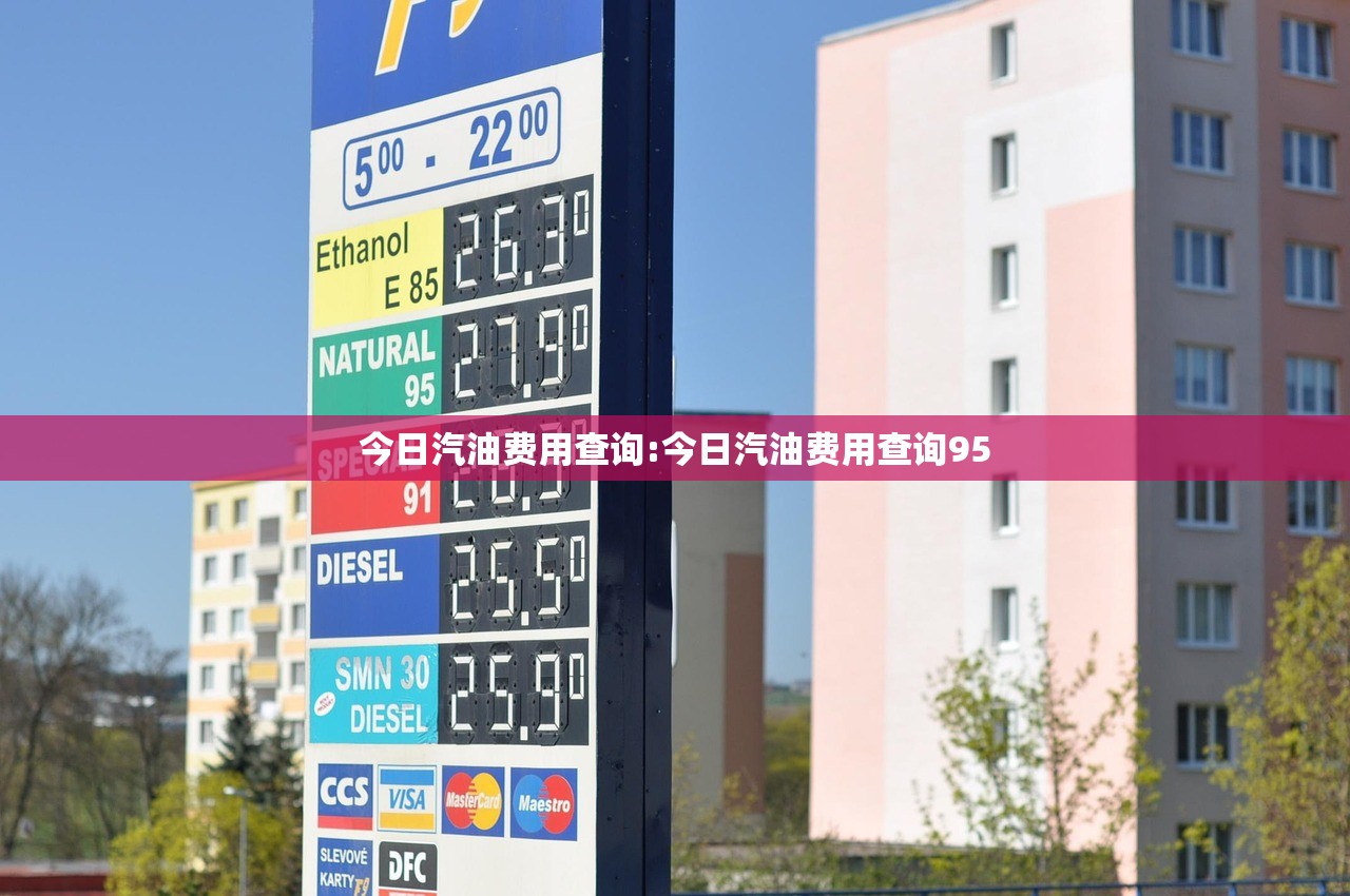 今日汽油费用查询:今日汽油费用查询95