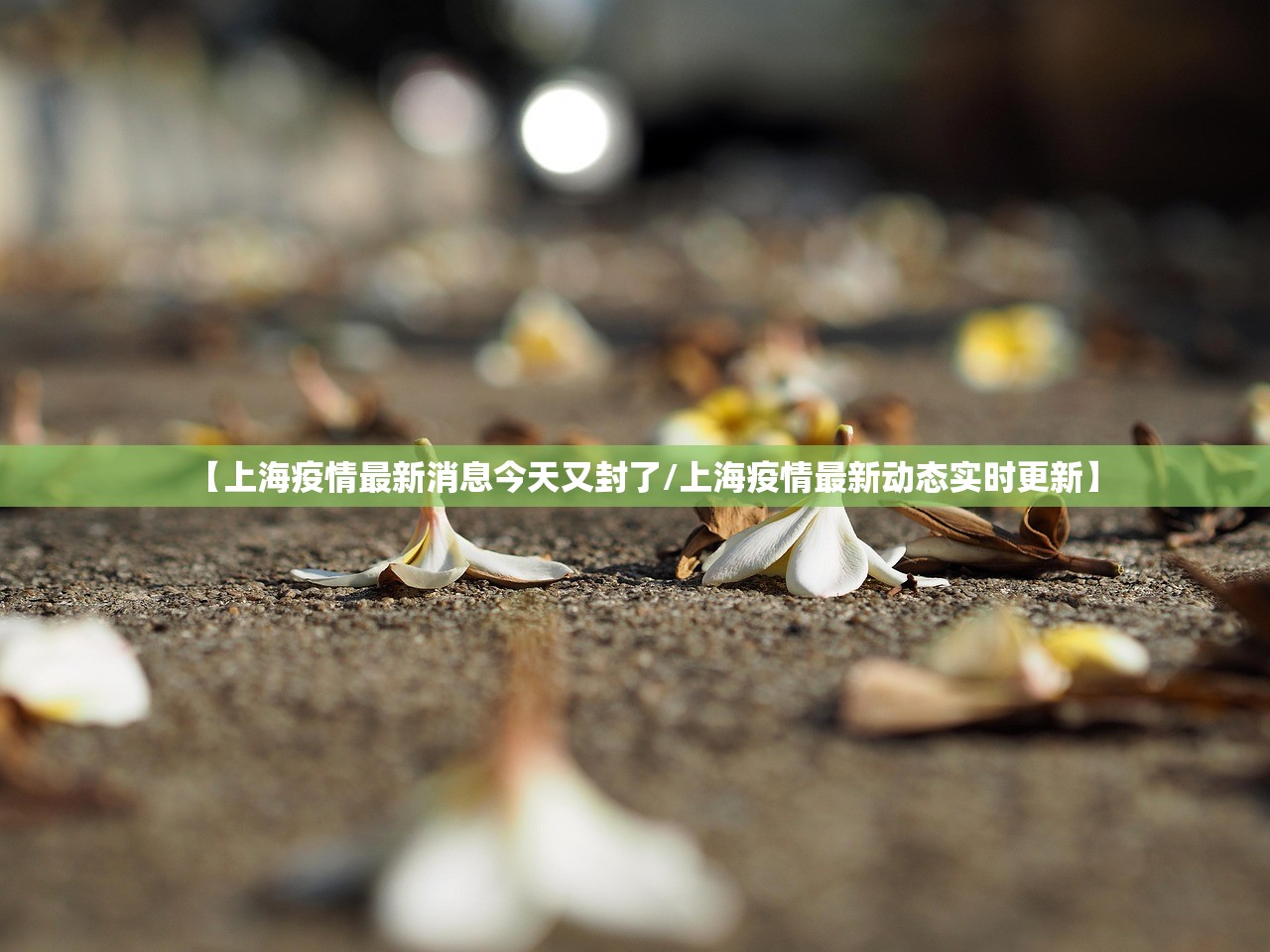 【上海疫情最新消息今天又封了/上海疫情最新动态实时更新】