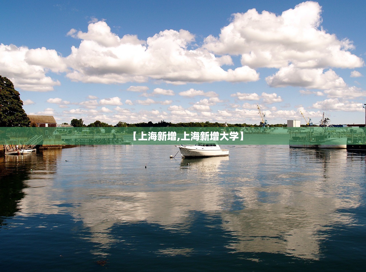 【上海新增,上海新增大学】