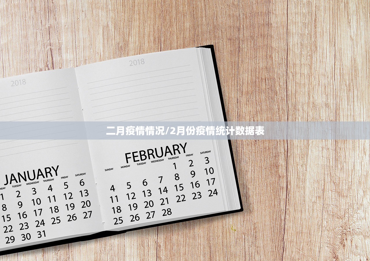 二月疫情情况/2月份疫情统计数据表