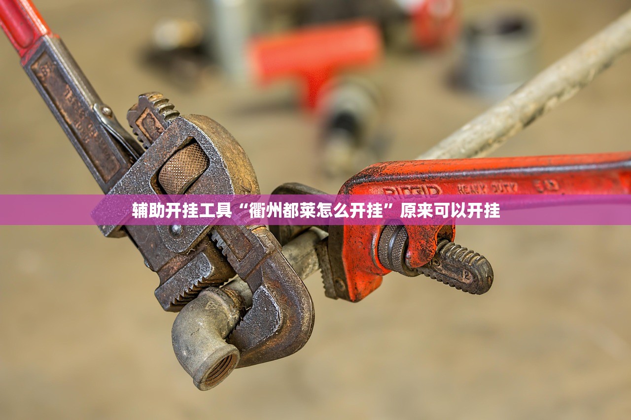 辅助开挂工具“衢州都莱怎么开挂”原来可以开挂