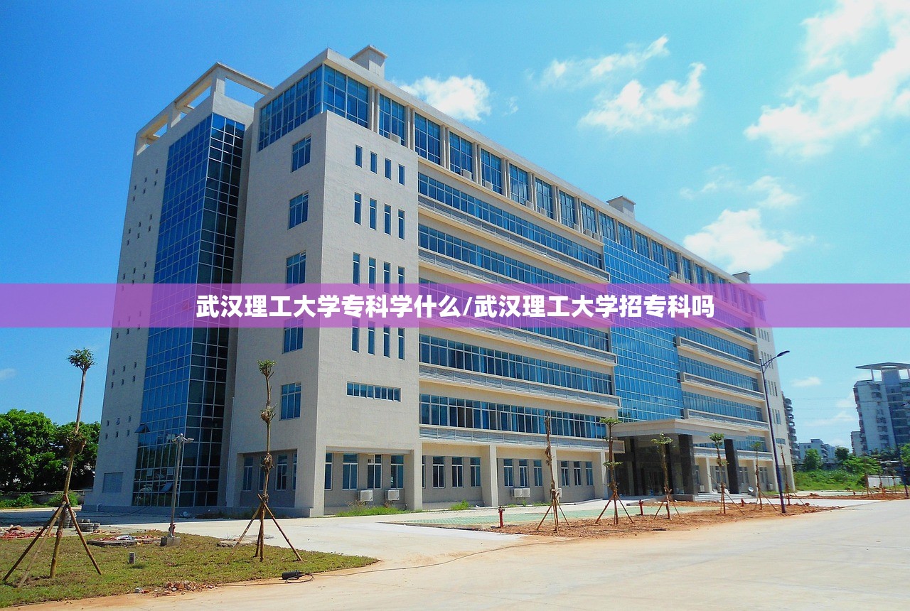 武汉理工大学专科学什么/武汉理工大学招专科吗