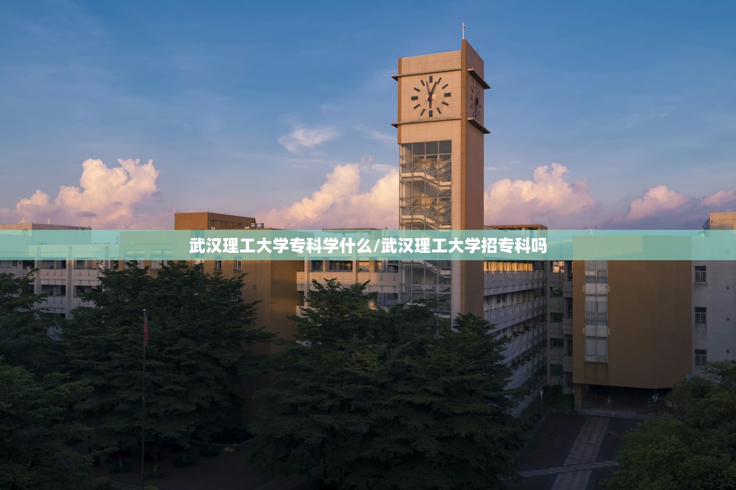 武汉理工大学专科学什么/武汉理工大学招专科吗