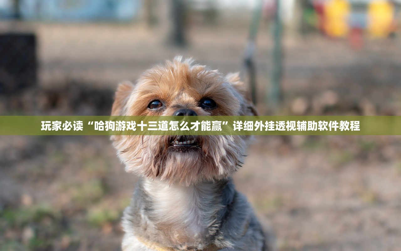 玩家必读“哈狗游戏十三道怎么才能赢	”详细外挂透视辅助软件教程