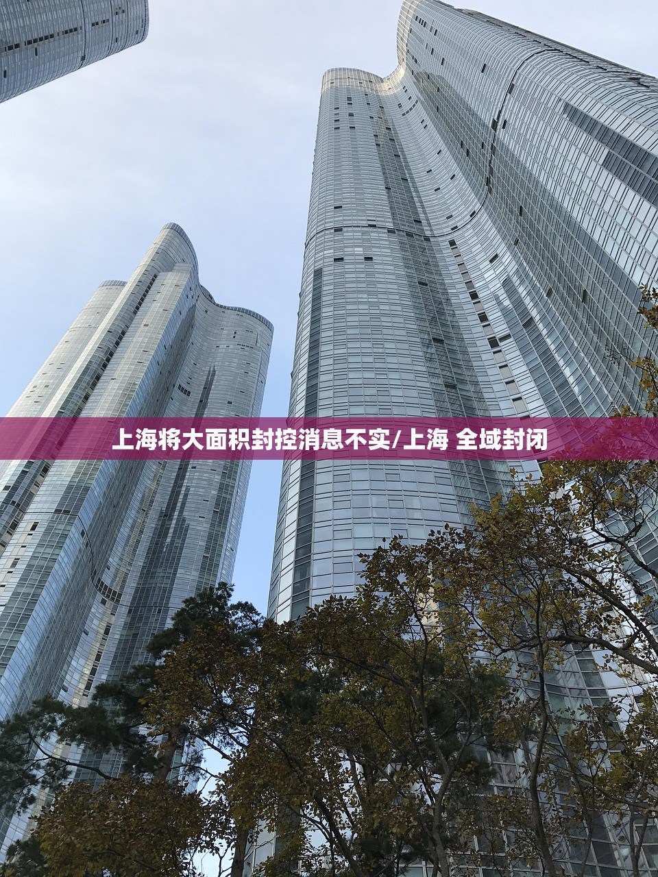 【小度总裁的限行/小度不限行】