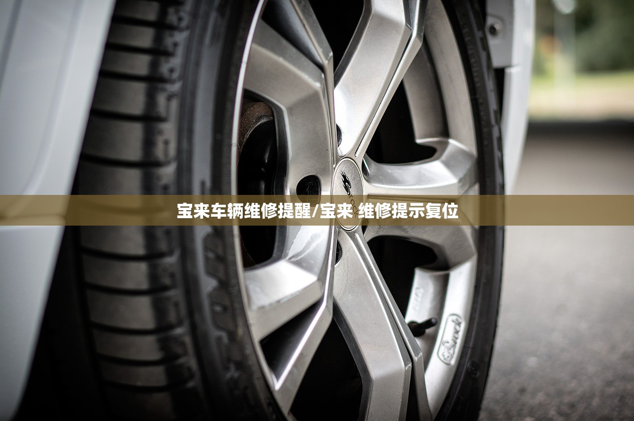 宝来车辆维修提醒/宝来 维修提示复位 宝来车辆维修提醒/宝来 维修提示复位