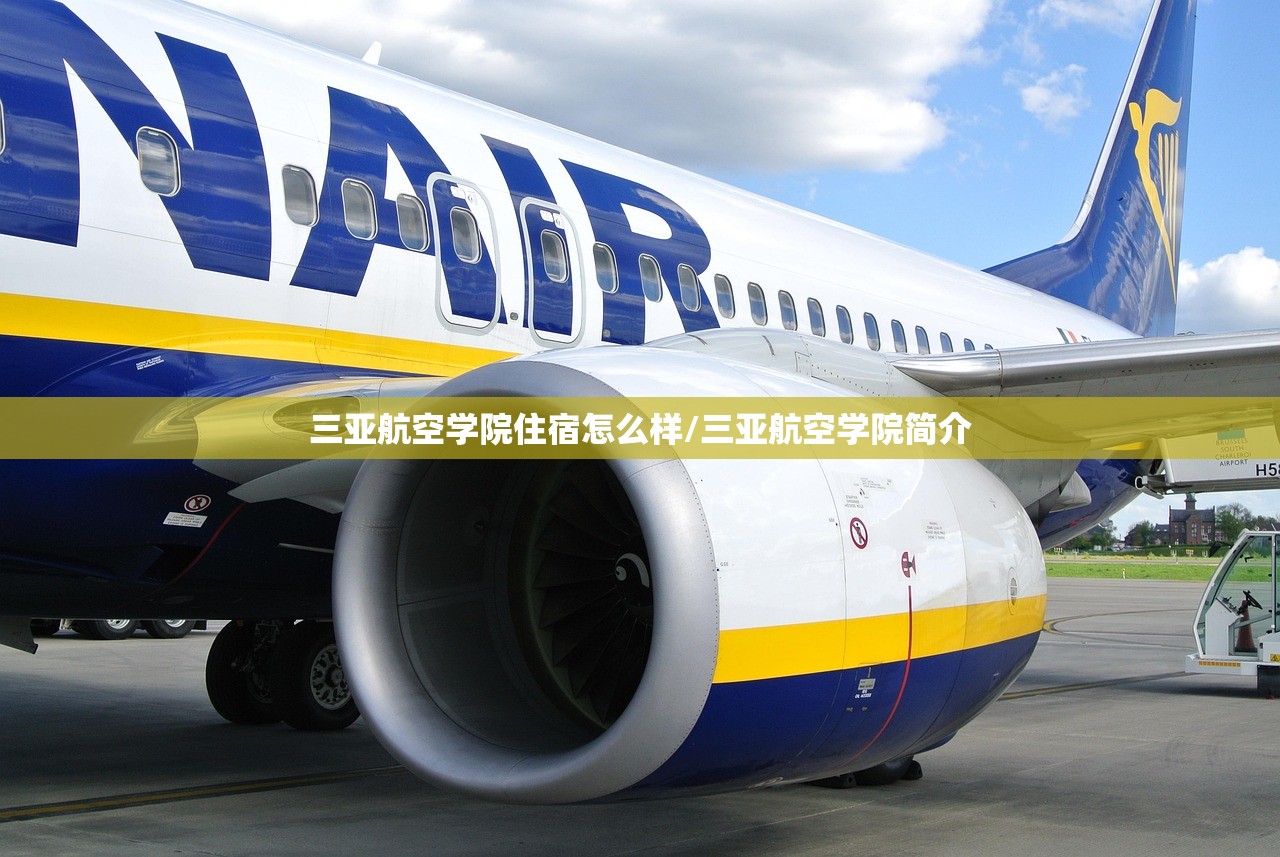 【上海累计确诊多少例了/上海累计确诊新型肺炎】