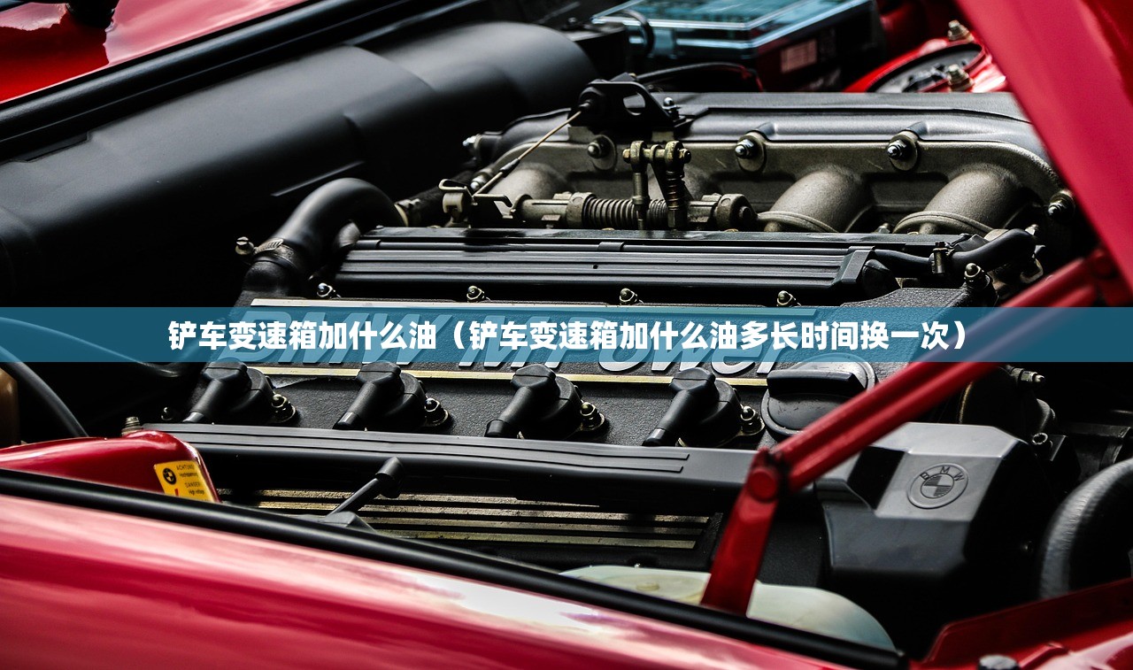 铲车变速箱加什么油(铲车变速箱加什么油多长时间换一次) 铲车变速箱加什么油(铲车变速箱加什么油多长时间换一次)