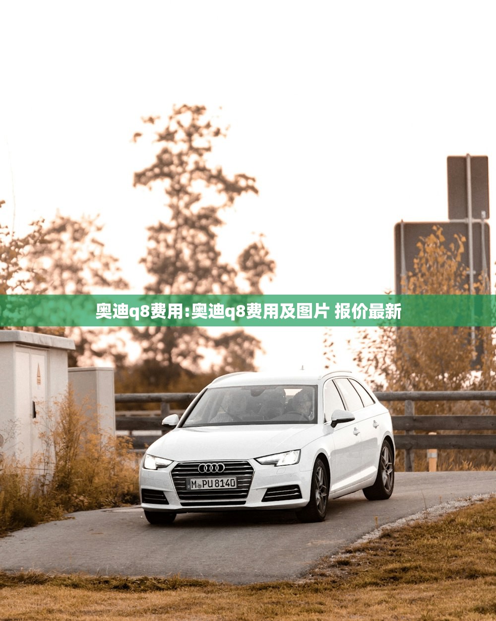 奥迪q8费用:奥迪q8费用及图片 报价最新 奥迪q8费用:奥迪q8费用及图片 报价最新