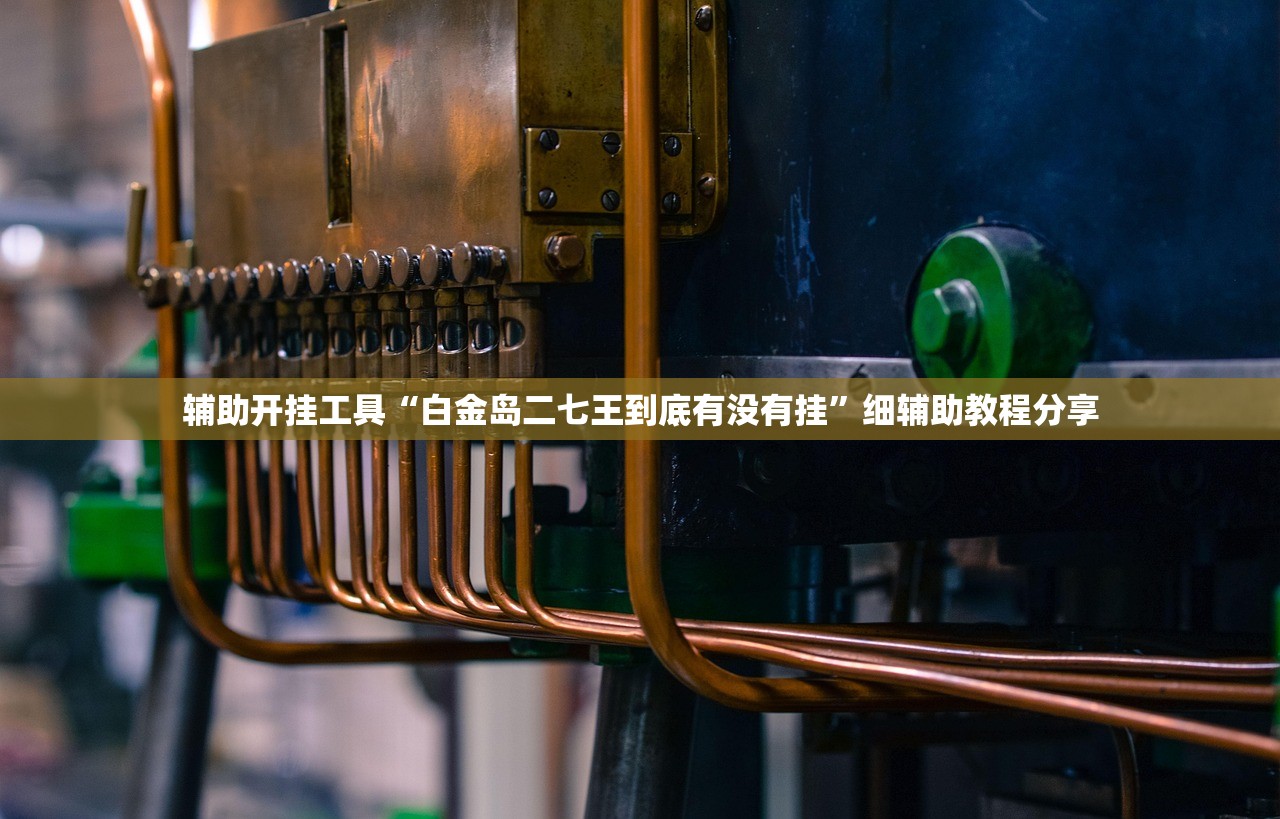 辅助开挂工具“白金岛二七王到底有没有挂”细辅助教程分享