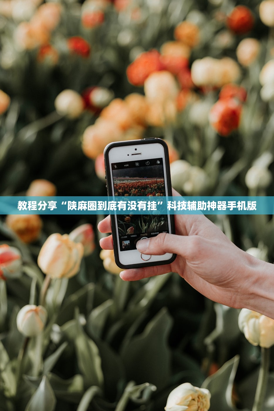 教程分享“陕麻圈到底有没有挂”科技辅助神器手机版