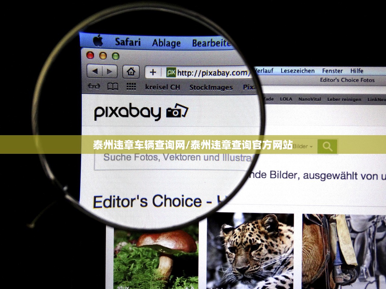 泰州违章车辆查询网/泰州违章查询官方网站 泰州违章车辆查询网/泰州违章查询官方网站