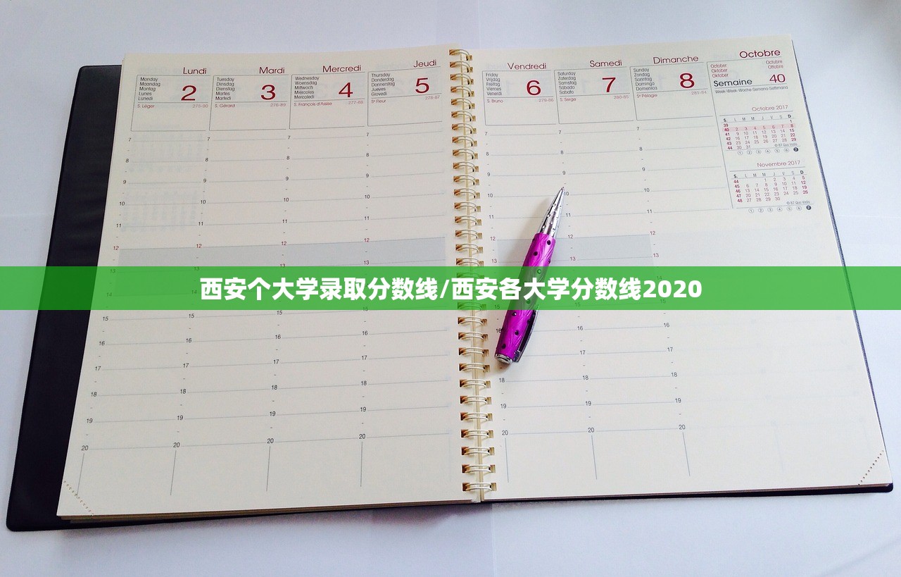 西安个大学录取分数线/西安各大学分数线2020 西安个大学录取分数线/西安各大学分数线2020