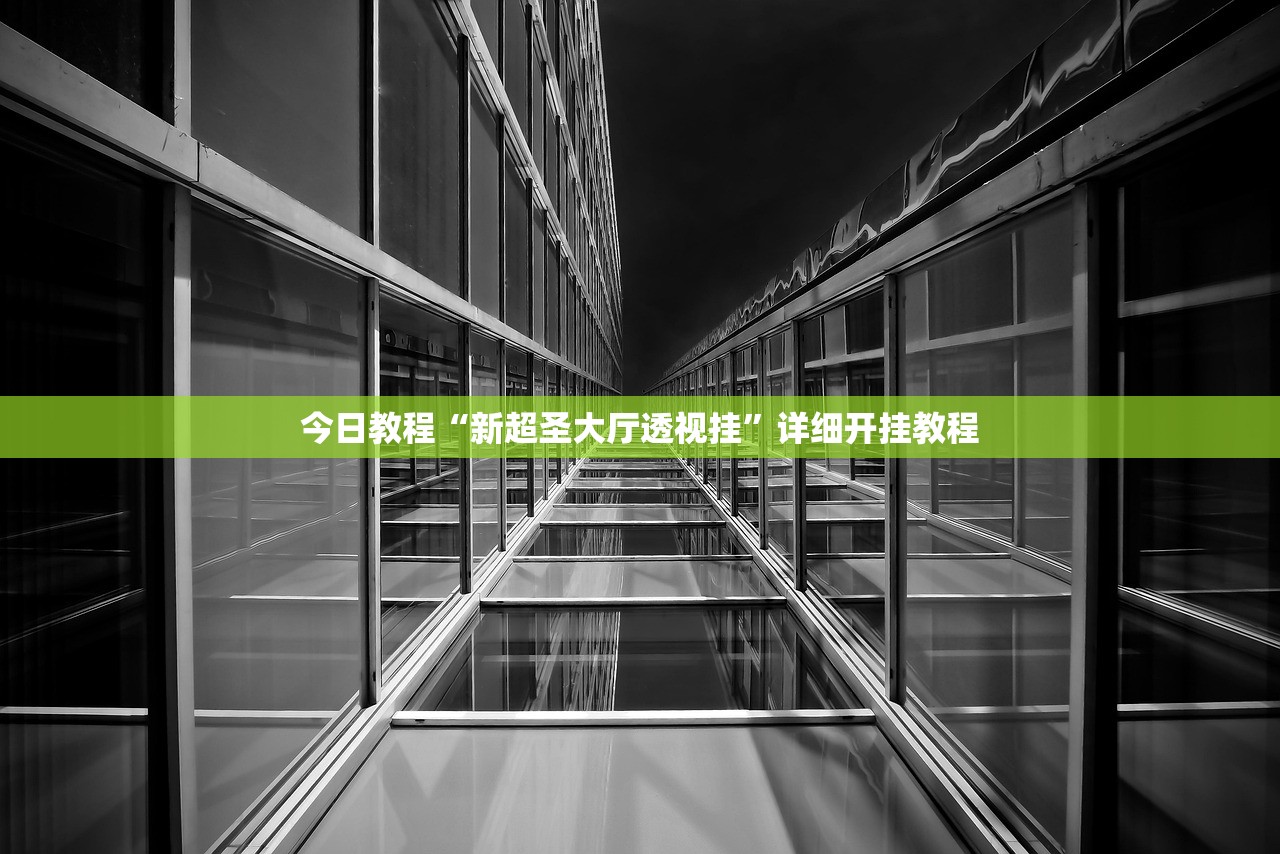 今日教程“新超圣大厅透视挂”详细开挂教程