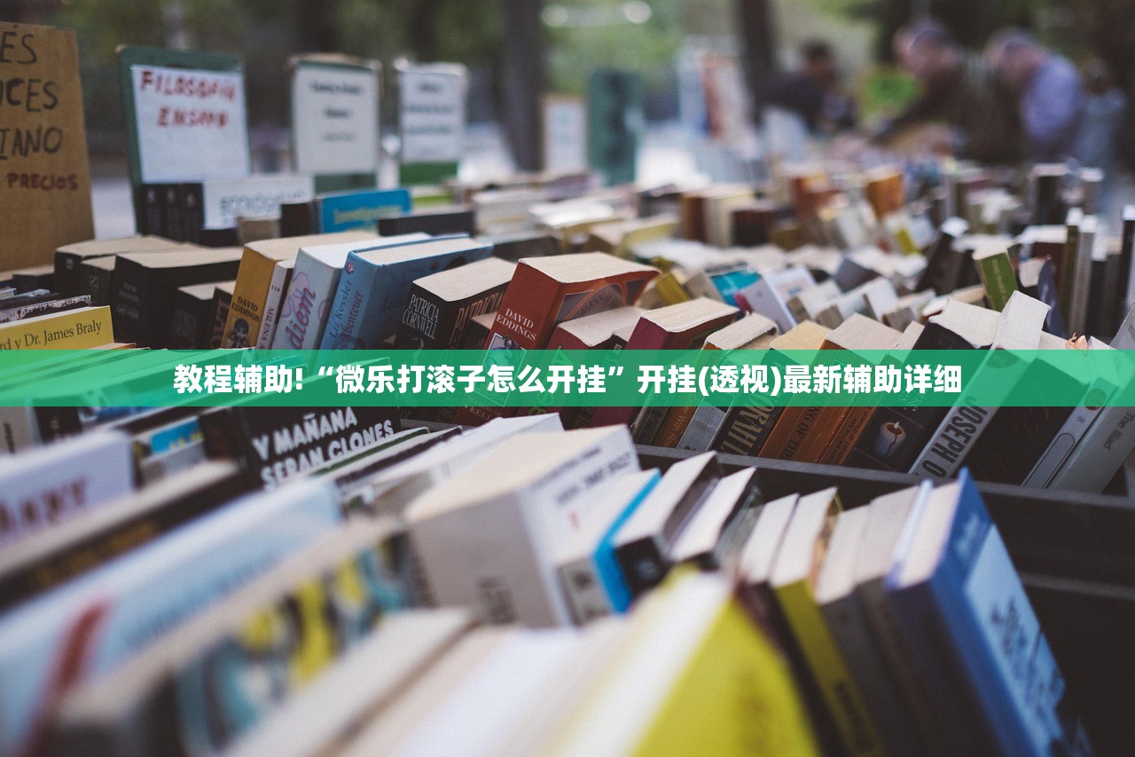 辅助神器“川麻圈辅助器手机版(透视)”开挂辅助脚本+详细开挂安装教程