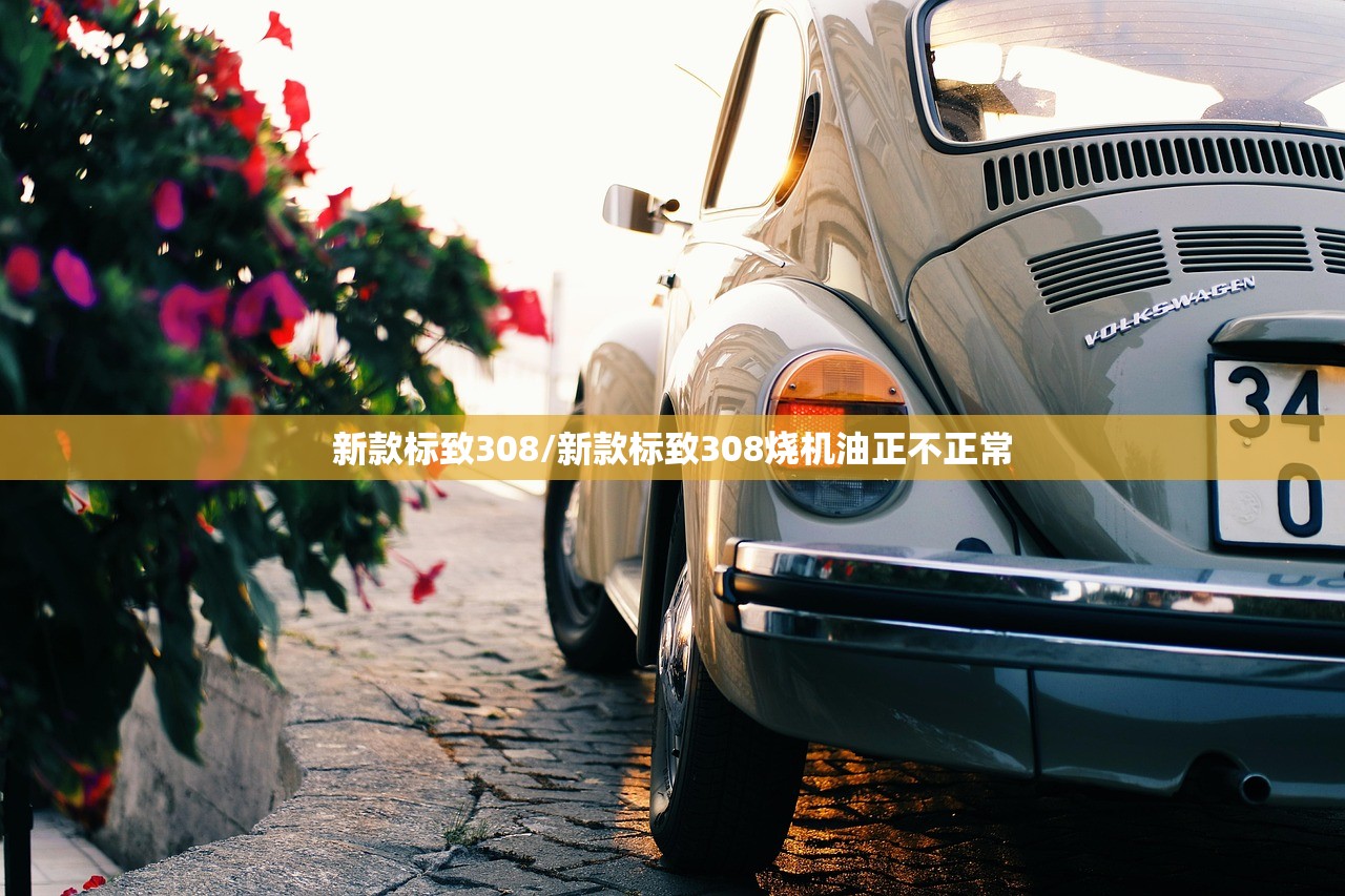 新款标致308/新款标致308烧机油正不正常 新款标致308/新款标致308烧机油正不正常