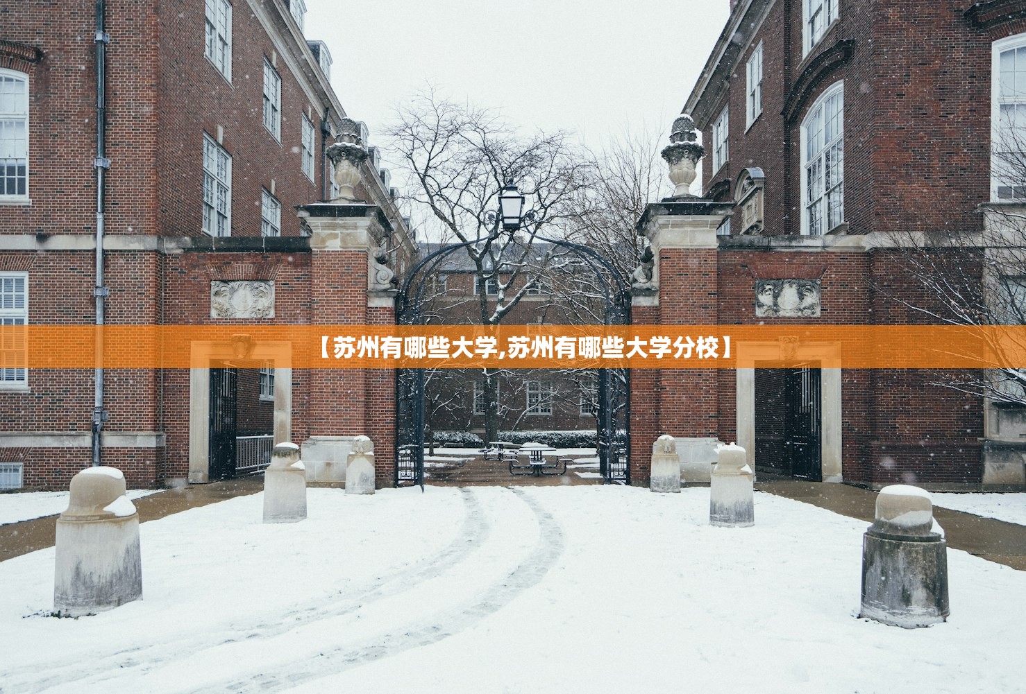 【上海新增本土确诊1006例/上海新增1例本地确诊病】