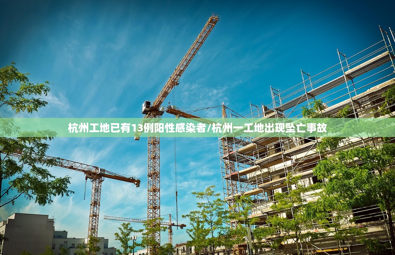 对外经济贸易大学录取分数线2017:对外经济贸易大学高考分数线2019