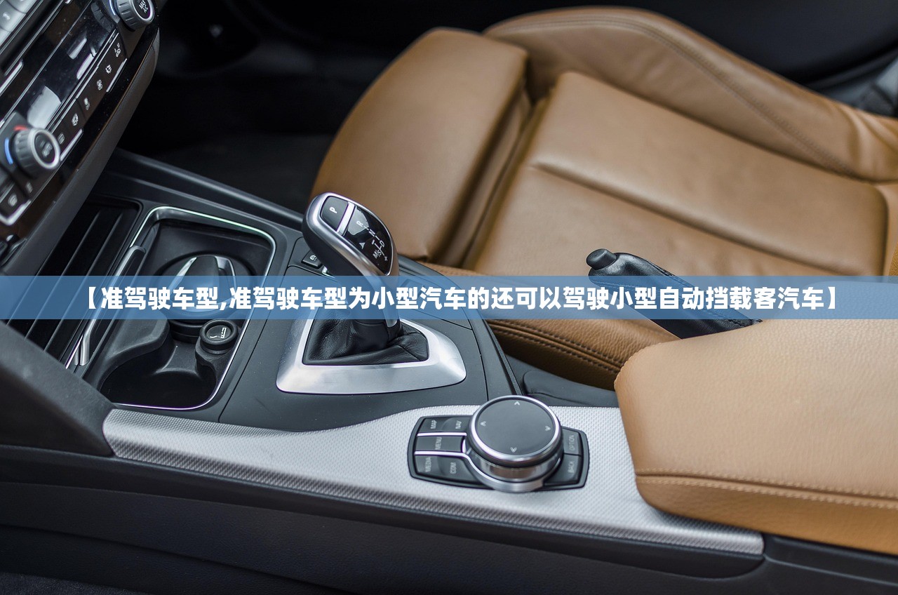 【准驾驶车型,准驾驶车型为小型汽车的还可以驾驶小型自动挡载客汽车】 【准驾驶车型,准驾驶车型为小型汽车的还可以驾驶小型自动挡载客汽车】